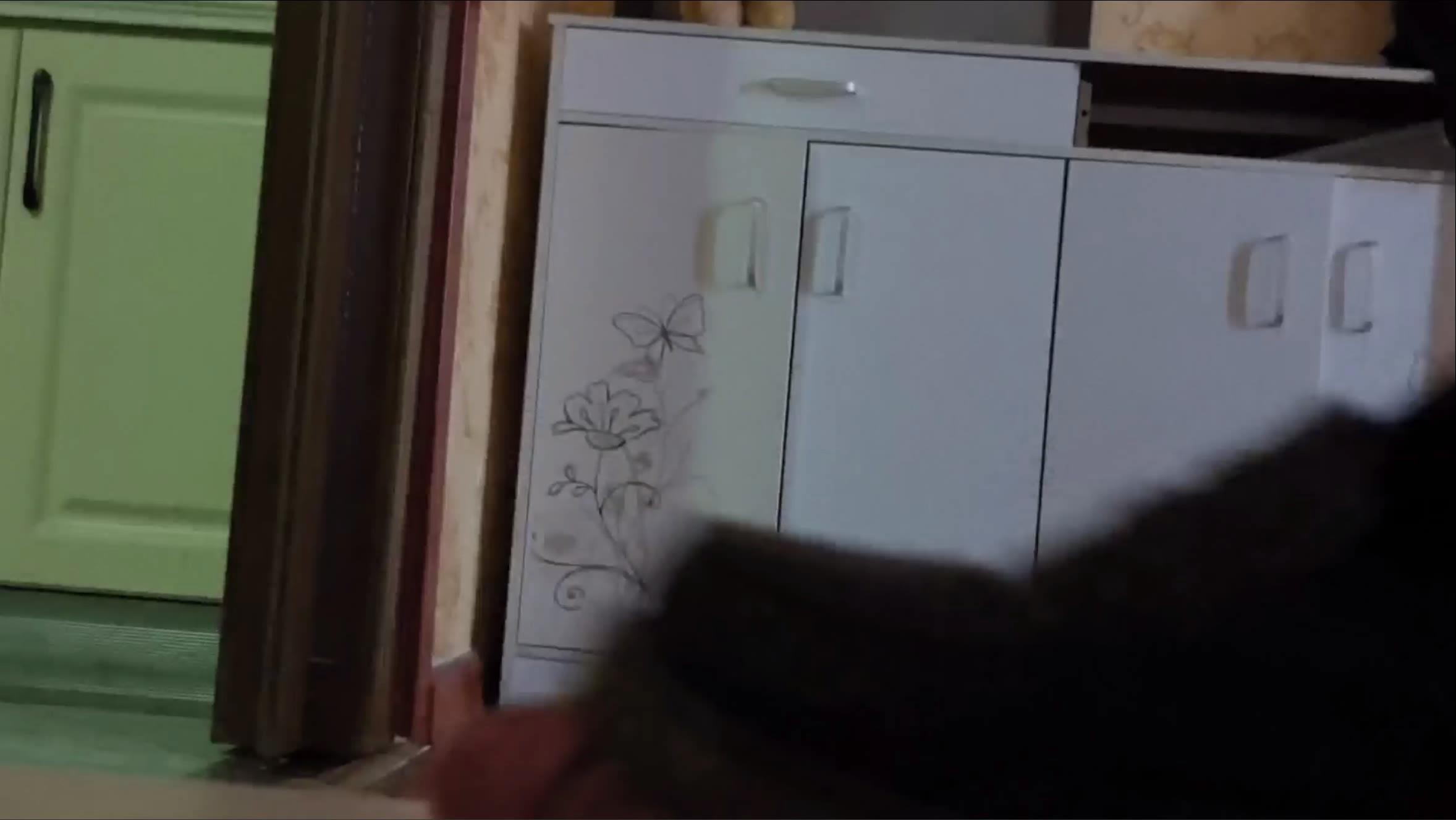 jgpp50mbto4.jpg jgpp50mbto4.jpg