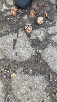 070244tt9z22jpdug7frbu.jpg 070244tt9z22jpdug7frbu.jpg