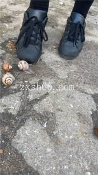 070243hz7inufnp7tf88dc.jpg 070243hz7inufnp7tf88dc.jpg