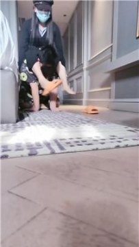 【调教视频】【璃茉老师】酒店玩虐客户狗 JS251109-21
