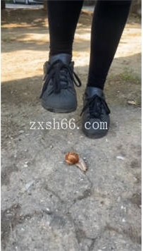 AC4052 国外高颜值妹子黑丝贝壳鞋踩蜗牛昆虫4分钟