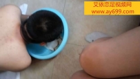 1166 《鸽宝S》享受主人的原味面包口水喂食.