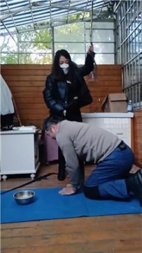 【调教视频】【刑狗】反绑跑骚狗虐 JS251201-1