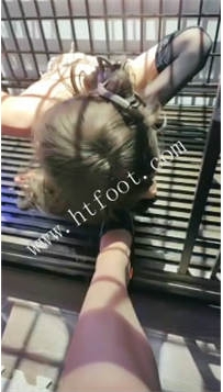 TL48209 喵酱紫】美汪汪调教50分钟