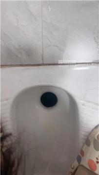 【第一视角】【灵韵】黄金狗滚进来    250822-11