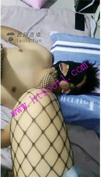 TL19379 诱饵S50分钟