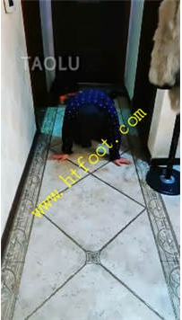 TL27674 语晴】卸妆的灰色轨迹28分钟