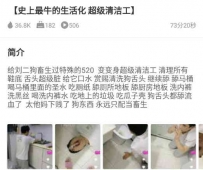 TL29556 小猫咪】史上最牛的超级清洁工72分钟