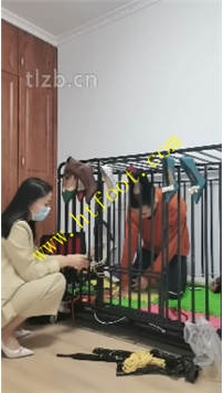 TL41447 凌儿】差点饿死52分钟