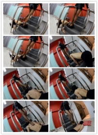 【艾彩原创】『奴隶岛』楼梯间玩狗