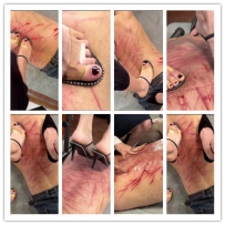 蓝色精品 冰诺携手小蓝 血色的浪漫 （重度）！！！