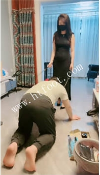 TL46827 芷镜小主】TJ笼中小狗狗103分钟
