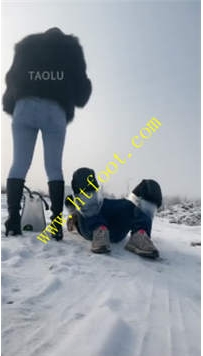 TL26934 思诺】雪地的一场遛狗之旅41分钟