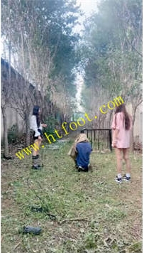 TL39561 沅芷】麻袋暴揍当场退圈33分钟