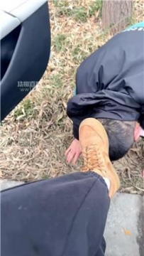 【调教视频】【短发】户外逗狗专场 JS260128-8