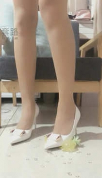 TL9250 若依 第一视角