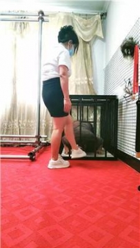 【调教视频】【沐颜】捆绑囚禁狗笼虐 JS250614-45