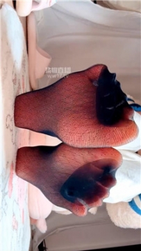 【第一视角】【乔乔在这里】网袜催J    260102-17