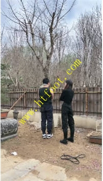 TL35716 沅芷】公开处决私奴51分钟