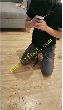 TL39582 诗恩】训狗59分钟