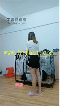 TL31953 小猫咪】家奴被暴打43分钟