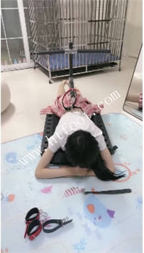 TL41998 狠欣人】足喂食怒啃水果捞94分钟