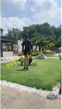 TL37984 沅芷】带素人姐姐玩39分钟