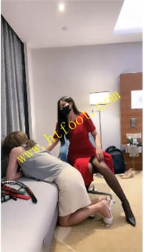 TL38601 若依】上海CD50分钟
