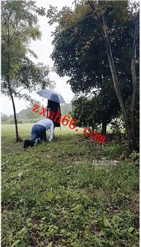 TLZB26100南荣-野外雨地虐老狗清理脏鞋35分