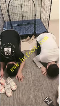 TL32884 安静大大】两条公狗65分钟