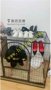 TL32512 猫咪】生活化真实圈养70分钟