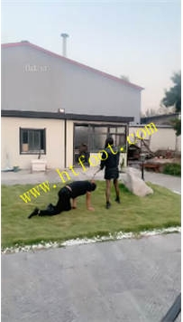TL41109 苏西】骑马全体重踩头39分钟