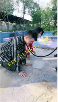 NNTL41013 宸宸】庄园遛狗32分钟