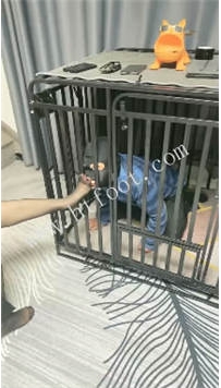 ZB209 梦露】双主游戏29分钟