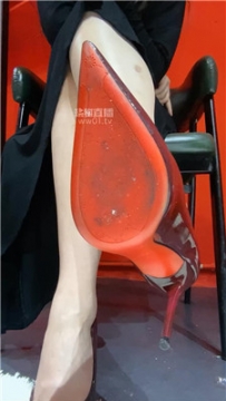 【第一视角】【白鸽】乳母场    251011-4