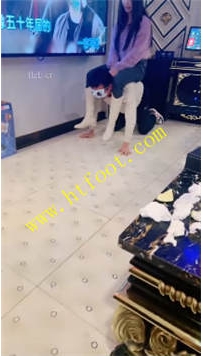 TL41719 美丝】真实圈内聚会26分钟【没有声音、播放也不太流畅、介意勿拍】