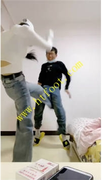 TL36050 孤傲】简调一下125分钟