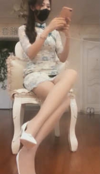 TL9044 若依 第一视角