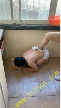 TL18778 唯雅S人形犬44分钟