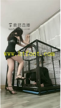 TL31669 月影儿】笼子里的宠物67分钟