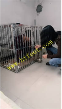 TL41601 孤傲女帝】圈养生活52分钟