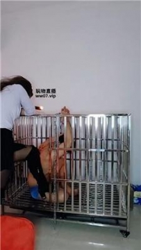 【调教视频】【纱月桃】囚禁狗笼强制虐 JS250328-35