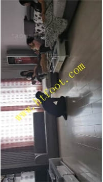 TL39040 文文】完犊子了四个小姐姐44分钟