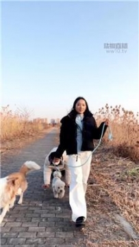 【调教视频】【毛绒月亮】户外真狗假狗一起遛 JS251216-25