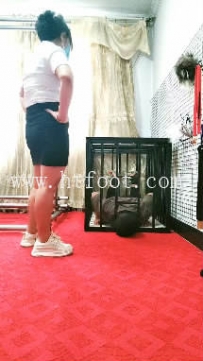 ZB7942 沐颜】强制黄金圣水40分钟