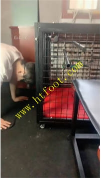TL41140 苏西】被关起来了21分钟