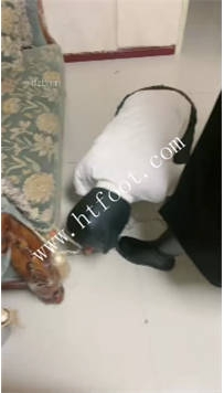 TL41771 草莓S】双主调教素人49分钟