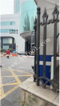 ZB1686 素人挖机】户外开发35分钟