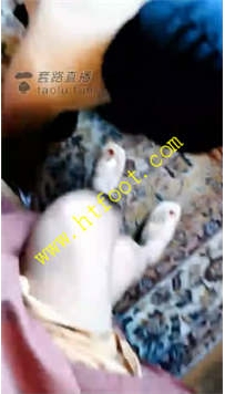 TL22491 猫神大人】家奴伺候起床33分钟