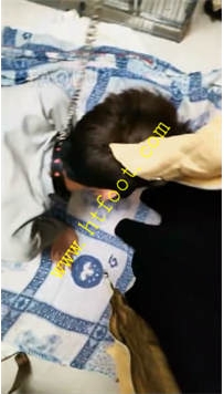 TL26771 超高能】骑马25分钟